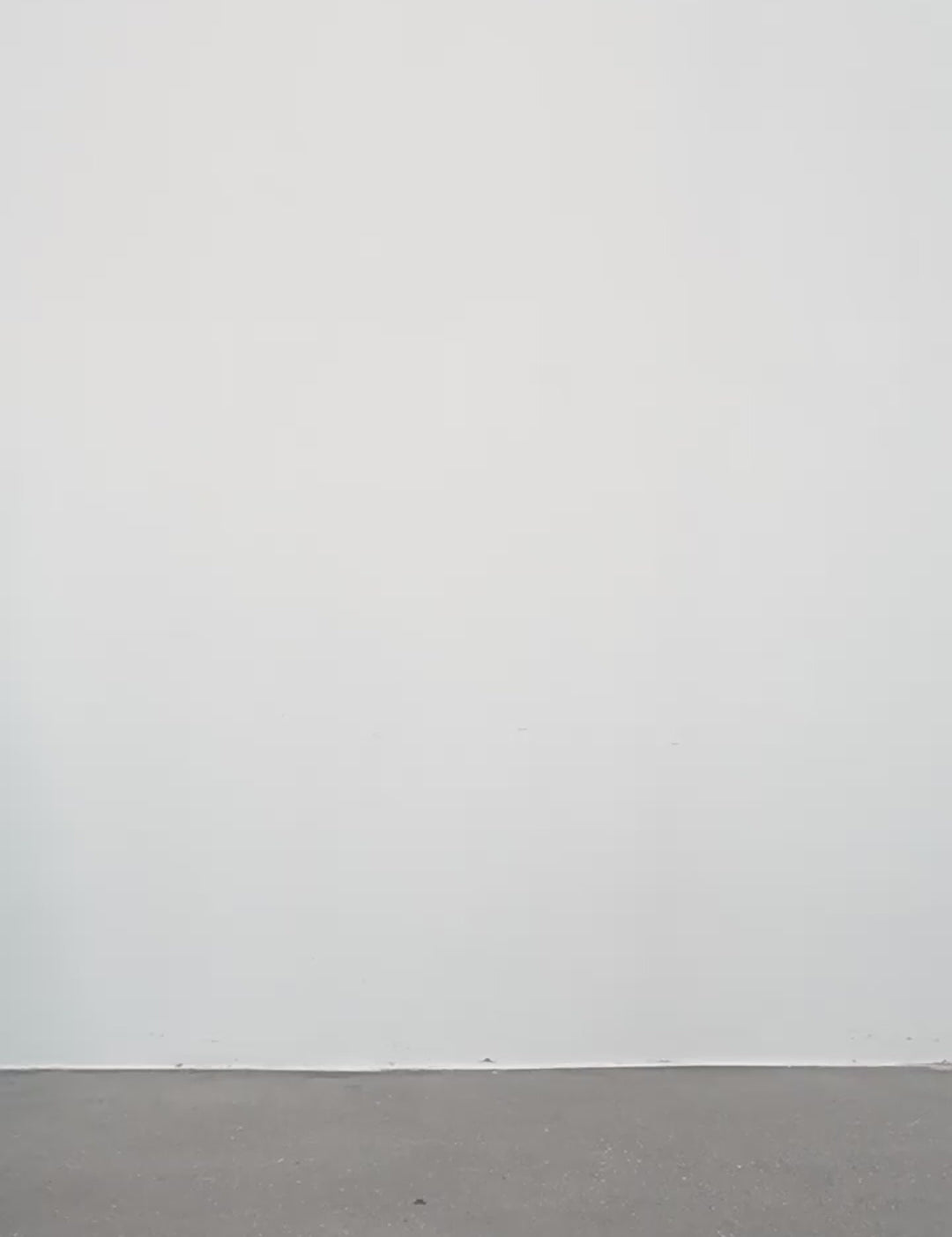 47545f1ac2874c47a73b81a315ba597d.thumbnail.0000000000.jpg
